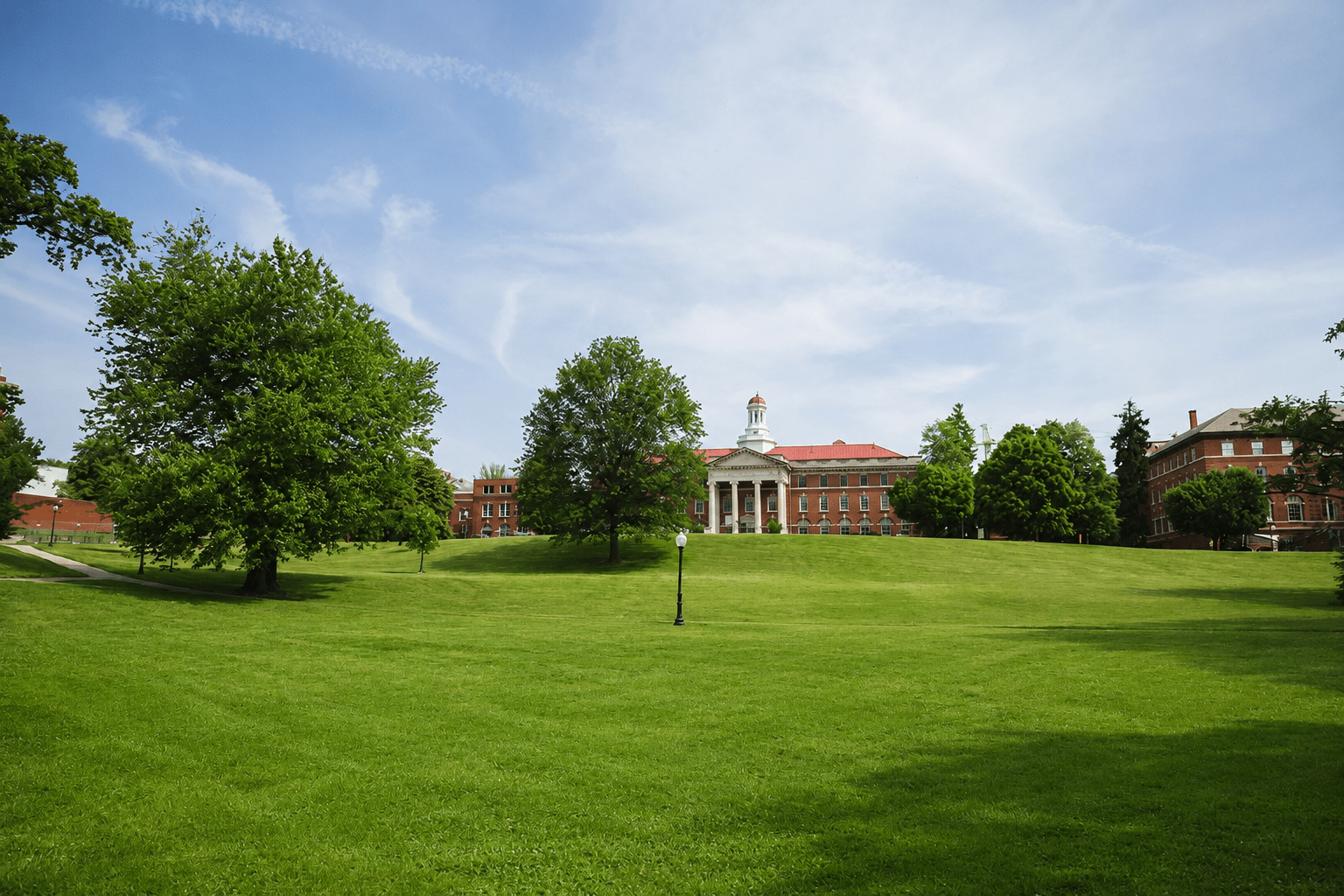 Garden paths at Walter Reed